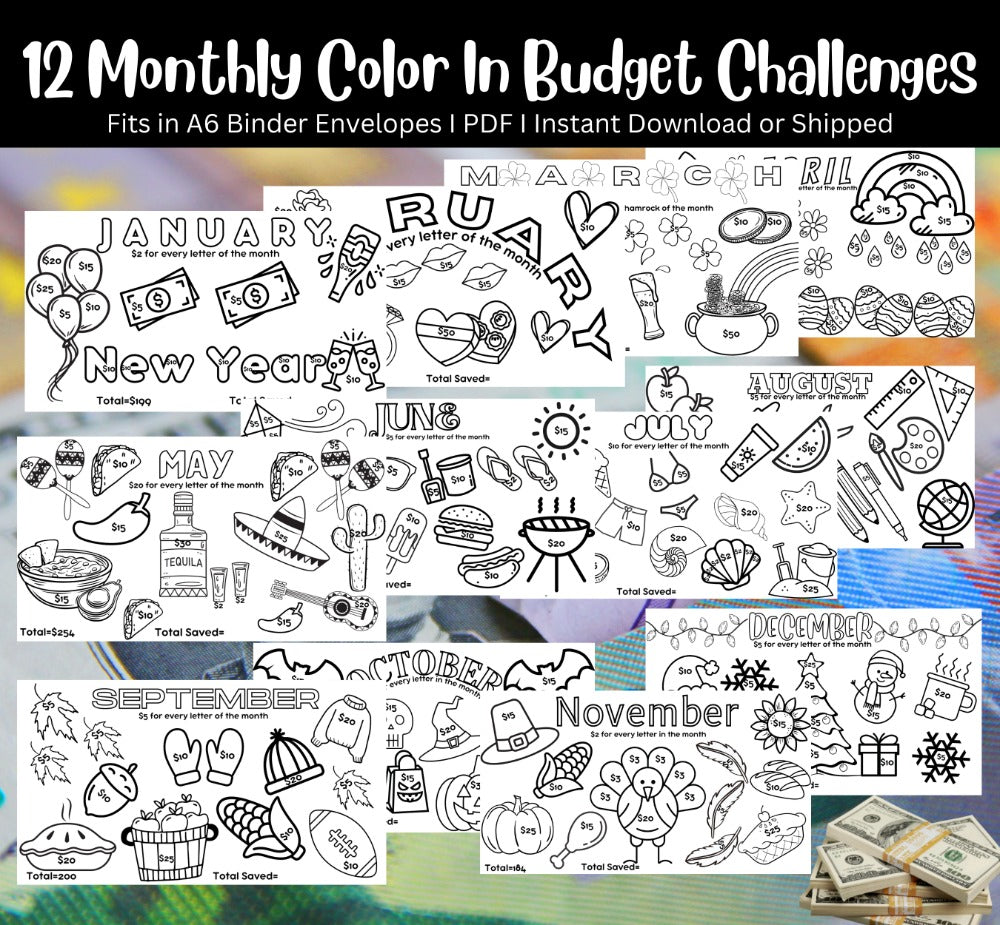 Budget Challenge